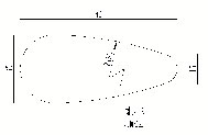 2727.jpg